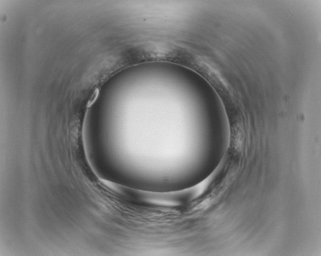 X0000088480509200705221420