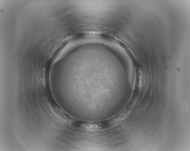 X0000088480512200705221420