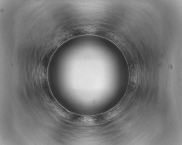 X0000088480518200705221420