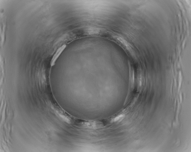 X0000088480524200705221420