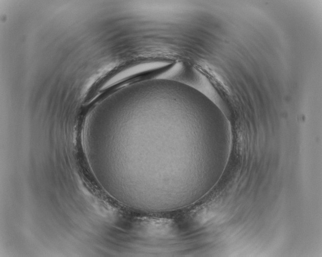 X0000088480539200705221419