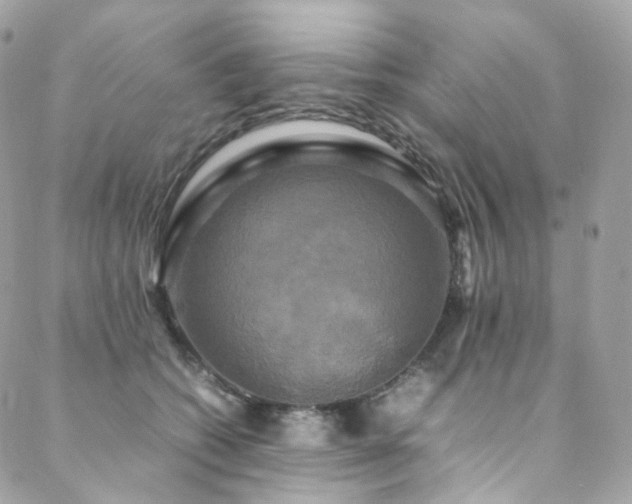 X0000088480562200705221420