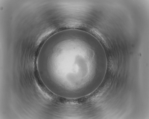 X0000088480586200705221419