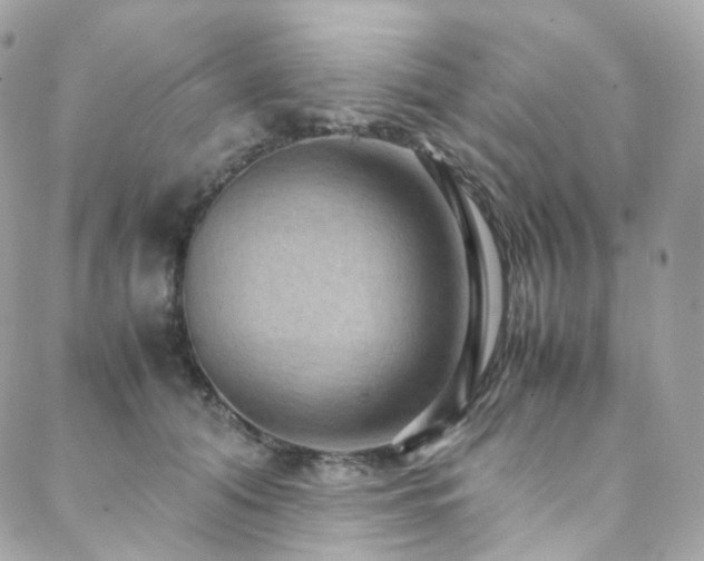 X0000088480608200705221419