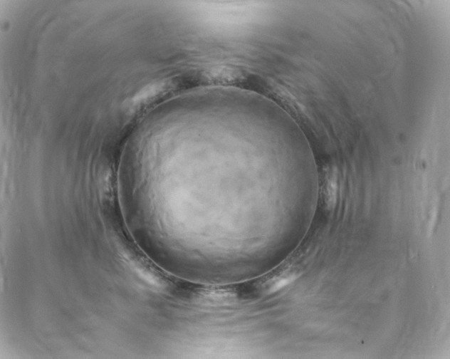 X0000088480619200705221418