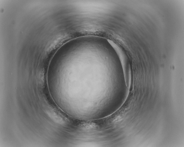 X0000088480642200705221418