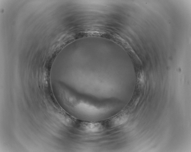 X0000088480663200705221418