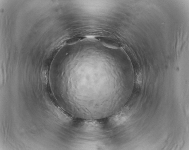 X0000088480666200705221418