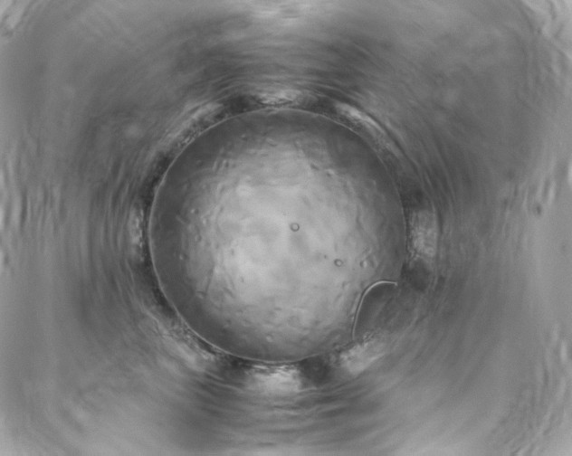 X0000088480667200705221418
