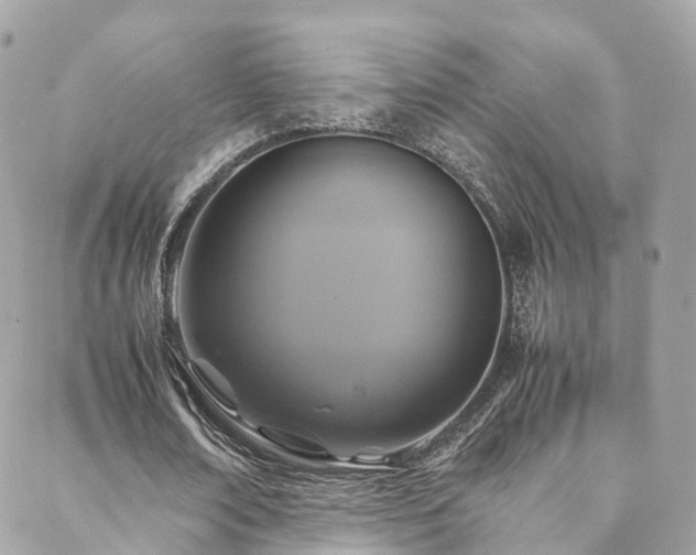 X0000088480674200705221417