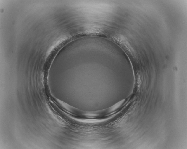 X0000088480684200705221417
