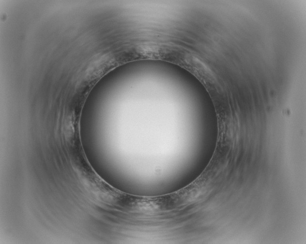 X0000088480702200705221417