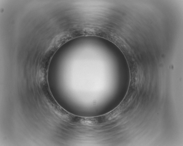 X0000088480706200705221417