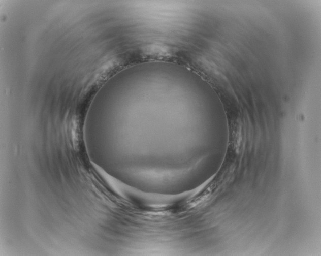 X0000088480708200705221417