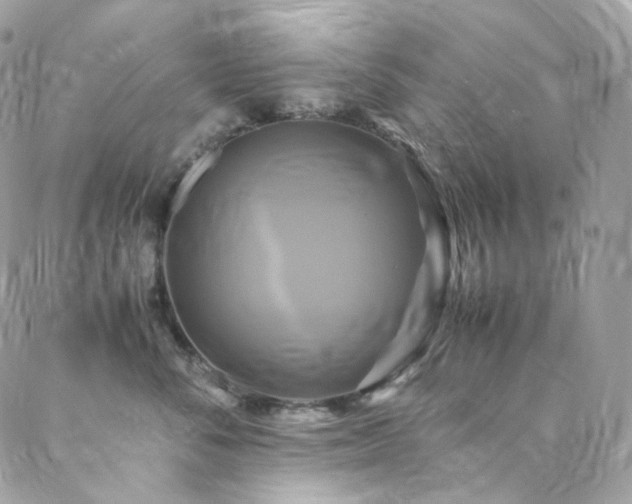 X0000088480716200705221417