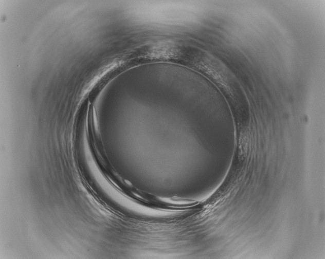 X0000088480722200705221416