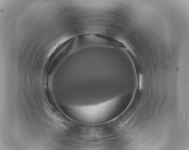 X0000088480723200705221416