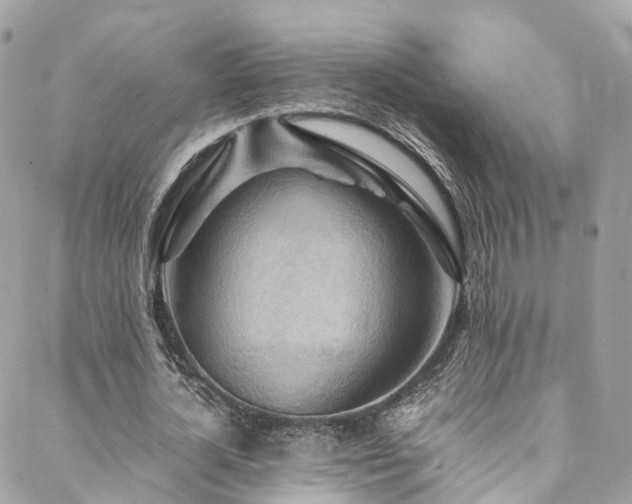 X0000088480724200705221416
