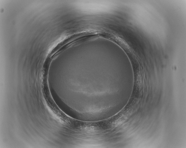 X0000088480730200705221416