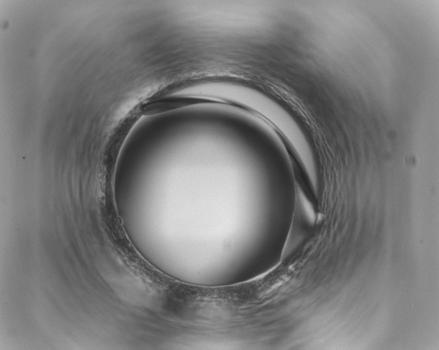 X0000088480732200705221416