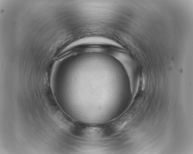 X0000088480748200705221416