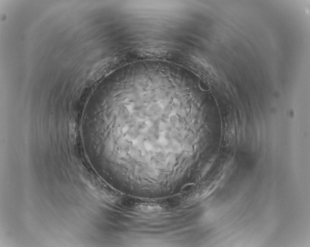 X0000088480749200705221416
