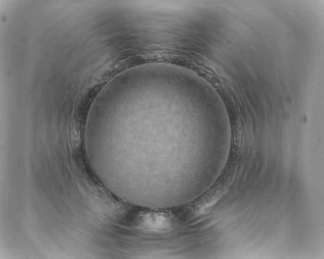 X0000088480751200705221416