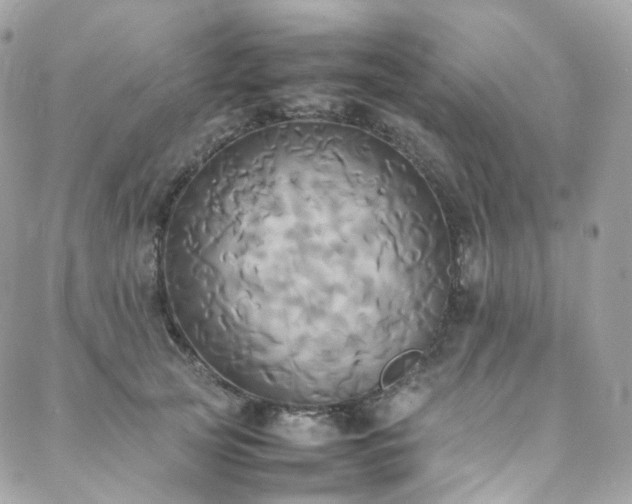 X0000088480753200705221416