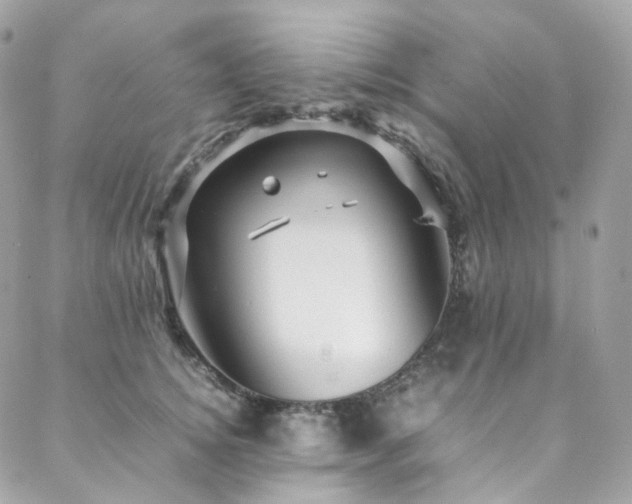 X0000088480756200705221417