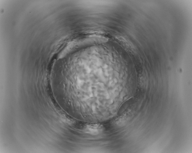 X0000088480757200705221417