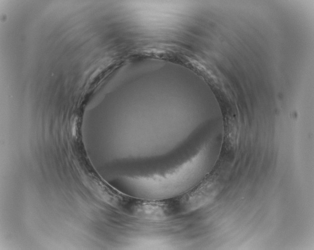X0000088480758200705221417
