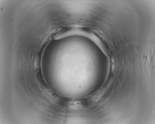 X0000088480760200705221417