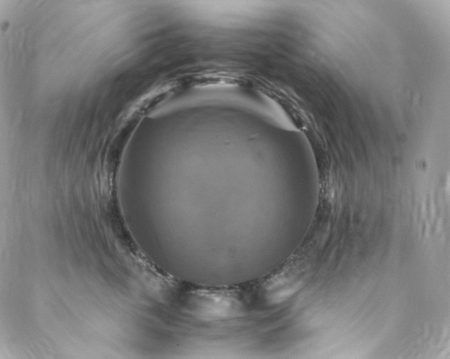 X0000088480763200705221417