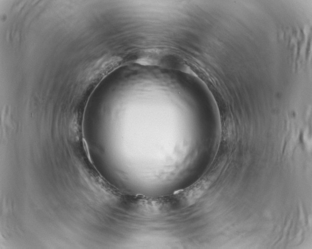 X0000088480764200705221417
