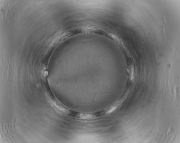X0000088480766200705221417