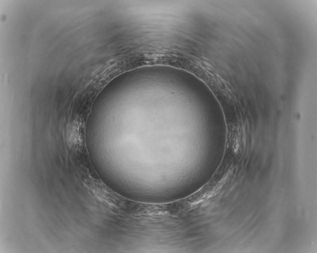 X0000088480770200705221416