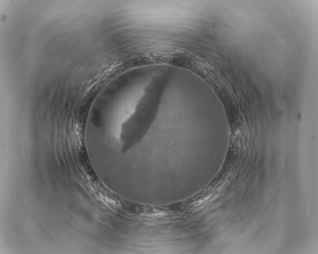 X0000088480772200705221416