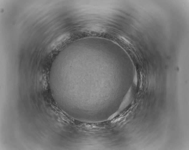 X0000088480774200705221416
