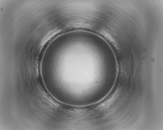 X0000088480782200705221416