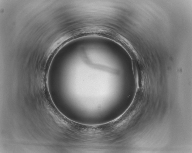 X0000088480786200705221416