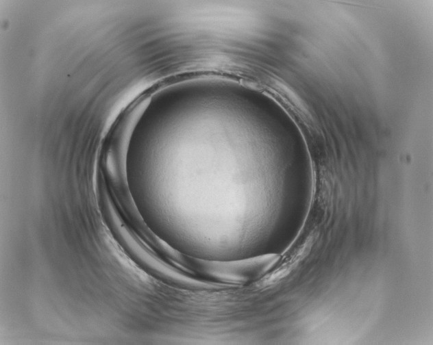 X0000088480788200705221416