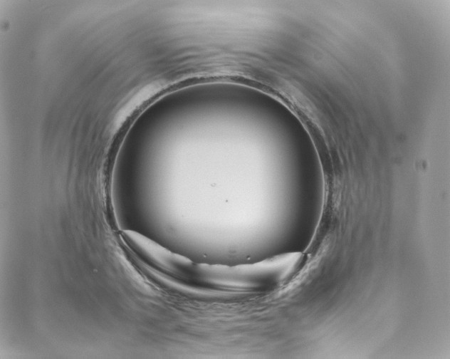 X0000088480789200705221416