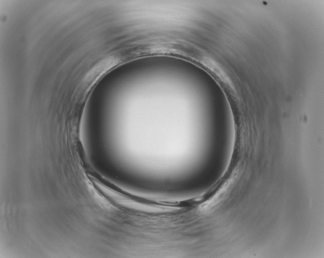 X0000088480801200705221415