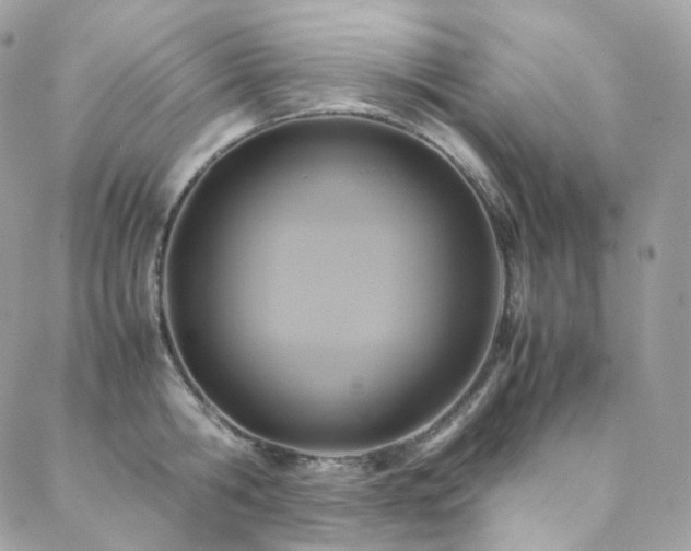 X0000088480806200705221415