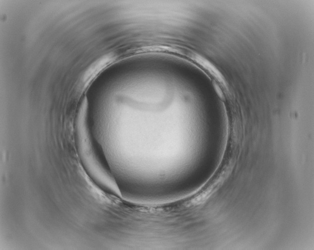 X0000088480809200705221415