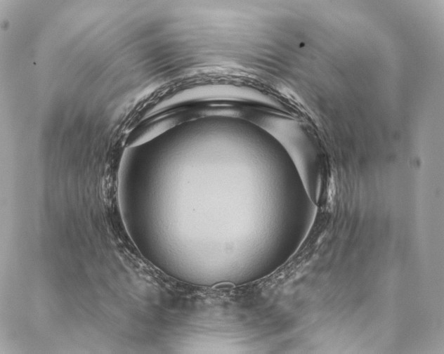 X0000088480822200705221414
