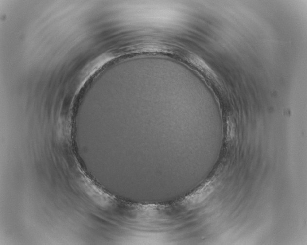 X0000088480828200705221415