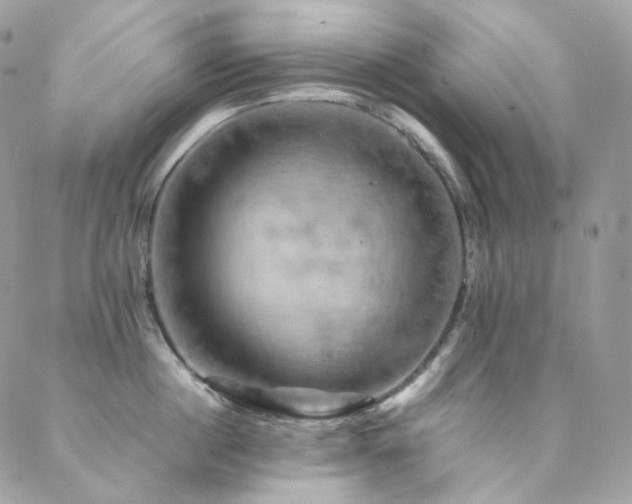 X0000088480860200705221415