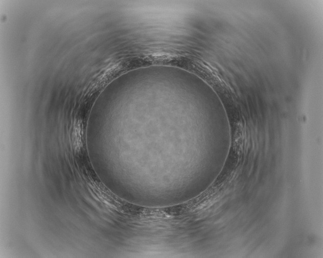 X0000088480866200705221414