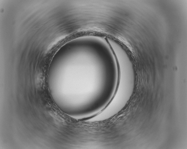 X0000088480872200705221414
